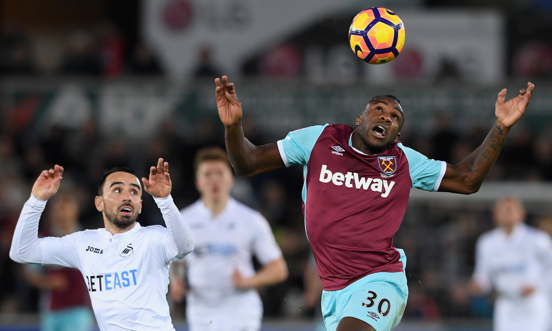 的职业生涯 的职业生涯